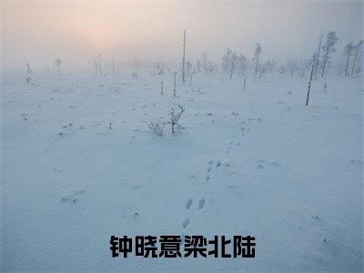 钟晓意梁北陆（梁北陆钟晓意全章节完整版）免费阅读-钟晓意梁北陆全文无删减阅读