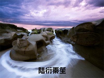 陆衍秦笙小说（秦笙陆衍）全文免费阅读大结局_（陆衍秦笙）秦笙陆衍小说免费阅读无弹窗