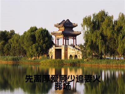 先离厚爱顾少追妻火葬场（秦杳顾砚梁）小说全文大结局-（秦杳顾砚梁）全章节完整版在线阅读