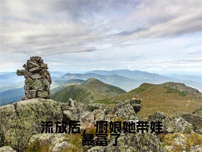 流放后，厨娘她带娃暴富了全文免费阅读无弹窗大结局，苏浅小说最新章节