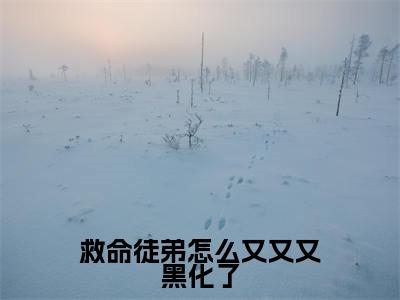 救命徒弟怎么又又又黑化了（沈清梨叶寒秋）全文免费阅读无弹窗大结局_（沈清梨叶寒秋）的小说（救命徒弟怎么又又又黑化了）最新章节列表