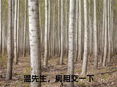 温喧许谂（温先生，房租交一下）全文免费阅读无弹窗大结局_（温喧许谂全文阅读）温先生，房租交一下无弹窗最新章节列表