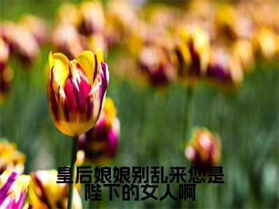 皇后娘娘别乱来您是陛下的女人啊（林行）小说全文免费阅读无弹窗-皇后娘娘别乱来您是陛下的女人啊小说全文免费阅读最新章节列表笔趣阁（林行）
