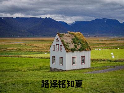 路泽铭知夏的小说（路泽铭知夏）免费阅读_路泽铭知夏小说免费阅读-笔趣阁