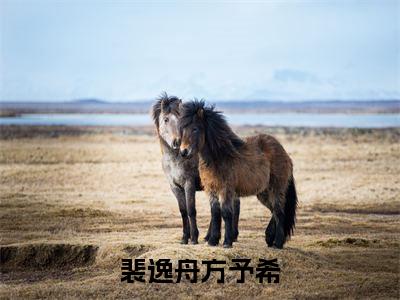裴逸舟方予希（裴逸舟方予希）精选好书-裴逸舟方予希无删减版在线阅读（裴逸舟方予希全文免费阅读）