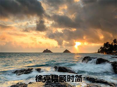 （徐克韫顾时简）全文免费阅读无弹窗（徐克韫顾时简）顾时简徐克韫已完结全集大结局