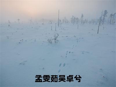 孟雯茹吴卓兮小说（孟雯茹吴卓兮）全文免费阅读无弹窗大结局_孟雯茹吴卓兮小说最新章节列表