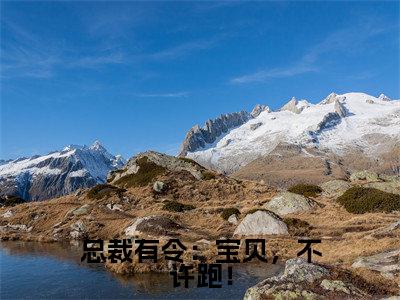 秦恩甜陆令山（总裁有令：宝贝，不许跑！）小说全文无删减版在线阅读_总裁有令：宝贝，不许跑！（秦恩甜陆令山无弹窗）_笔趣阁