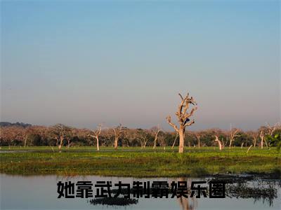 她靠武力制霸娱乐圈（秦野）小说全文免费_她靠武力制霸娱乐圈小说（秦野）最新章节目录笔趣阁