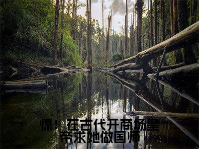 苏沐瑶全文免费阅读-全网首发小说惊！在古代开商场皇帝求她做国师