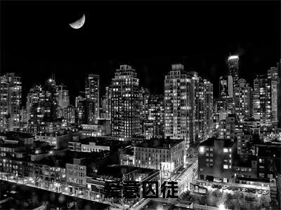 季安南顾淮北（爱意囚徒）免费小说全文完整版-爱意囚徒最新章节完整版阅读