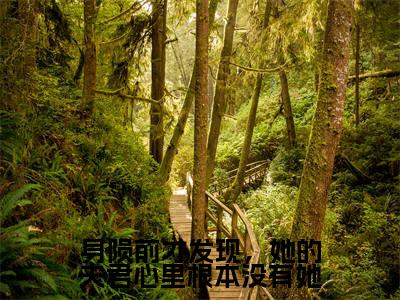 身陨前才发现，她的夫君心里根本没有她（浅音墨华）全文免费阅读-身陨前才发现，她的夫君心里根本没有她（浅音墨华）最新章节小说阅读