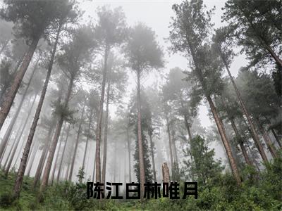 林唯月陈江白（陈江白林唯月）全网首发小说-小说陈江白林唯月（林唯月陈江白）完整版全文在线赏析