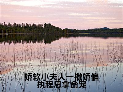 娇软小夫人一撒娇偏执程总拿命宠（陆知娴程砚南）全文免费阅读无弹窗大结局_娇软小夫人一撒娇偏执程总拿命宠全文免费阅读_笔趣阁