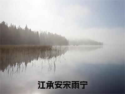 江承安宋雨宁（宋雨宁江承安）全文免费阅读无弹窗_宋雨宁江承安最新小说精彩推荐