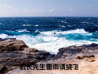 机长先生雷雨请绕飞（孟黎月厉赴征）全文免费阅读无弹窗大结局_（孟黎月厉赴征）孟黎月厉赴征最新章节列表