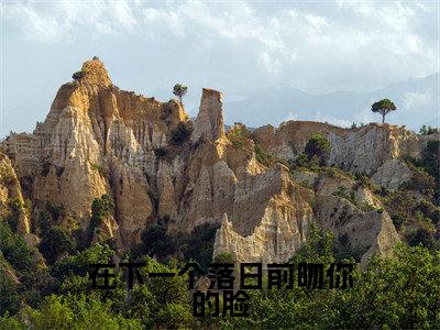 在下一个落日前吻你的脸小说全文（陆安霆温子语）精选免费小说_在下一个落日前吻你的脸小说全文最新章节列表