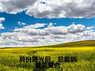 江峰（身份曝光后，总裁前妻求复合）全文免费阅读无弹窗_江峰最新小说_笔趣阁