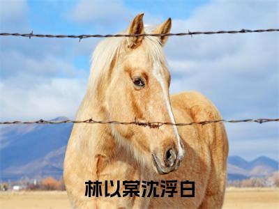 沈浮白林以棠（林以棠沈浮白）全文免费阅读无弹窗大结局_（沈浮白林以棠阅读无弹窗）林以棠沈浮白最新章节列表