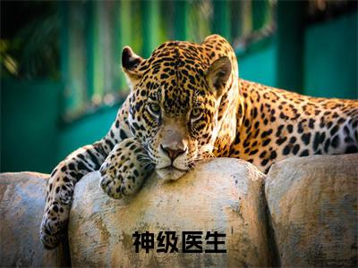 陈文章（神级医生）全文免费阅读无弹窗大结局_陈文章最新章节列表_笔趣阁