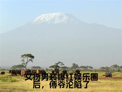 女扮男装爆红娱乐圈后，傅爷沦陷了全文免费阅读无弹窗大结局_（傅晏亭江绍宁免费阅读）女扮男装爆红娱乐圈后，傅爷沦陷了最新章节在线阅读_笔趣阁