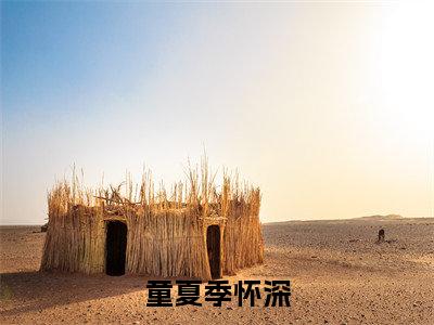 童夏季怀深（季怀深童夏）小说免费阅读无弹窗大结局_（季怀深童夏阅读无弹窗）最新章节列表