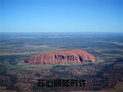 苏心颐陆时许免费阅读（苏心颐陆时许）完整版全文全章节阅读（苏心颐陆时许免费+番外）