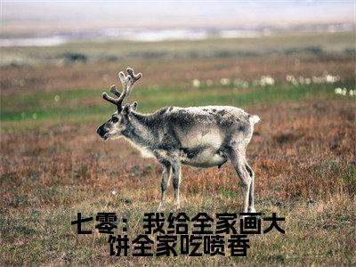 七零：我给全家画大饼全家吃喷香免费小说（苏酥）全文免费阅读无弹窗大结局_苏酥最新章节列表_笔趣阁