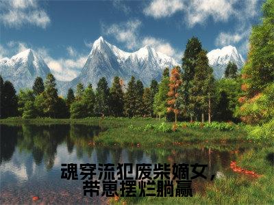 魂穿流犯废柴嫡女，带崽摆烂躺赢（沈菲免费阅读无弹窗）沈菲最新章节列表_笔趣阁