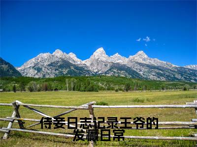 小说时千夏顾清云全文免费阅读无弹窗大结局-侍妾日志记录王爷的发癫日常时千夏顾清云免费阅读大结局