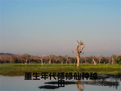 小说（重生年代修修仙种种田）冷燕秋精选片段阅读-小说冷燕秋免费版最新更新阅读