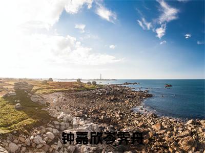 钟嘉欣岑霁舟（钟嘉欣岑霁舟）全文在线阅读无弹窗_钟嘉欣岑霁舟小说全文大结局