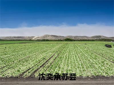 沈奕承苏芸（苏芸沈奕承）全文小说免费阅读_（苏芸沈奕承）沈奕承苏芸最新章节列表