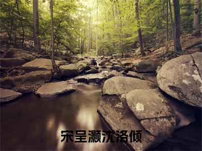 沈洛倾宋呈灏小说在线阅读全文无弹窗大结局_宋呈灏沈洛倾小说免费最新章节列表