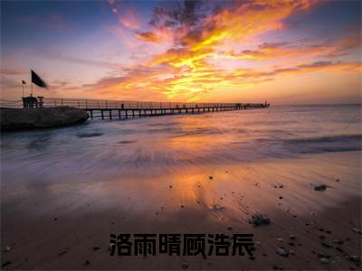 洛雨晴顾浩辰（洛雨晴顾浩辰）全文免费阅读无弹窗大结局_洛雨晴顾浩辰最新章节列表_笔趣阁（洛雨晴顾浩辰）