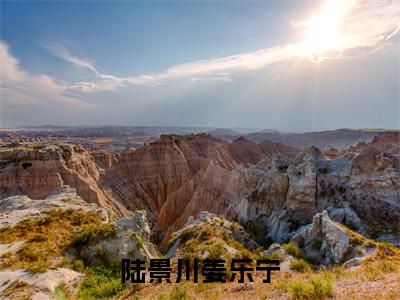 陆景川姜乐宁全文免费阅读_陆景川姜乐宁（陆景川姜乐宁）最新章节列表笔趣阁