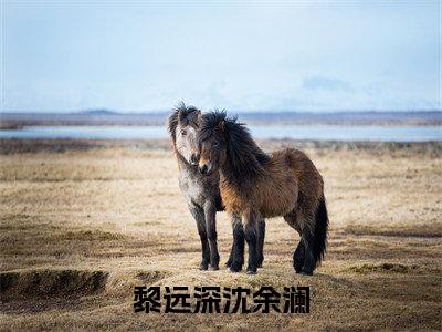 黎远深沈余澜（沈余澜黎远深）全文免费阅读-黎远深沈余澜（沈余澜黎远深）最新章节小说阅读