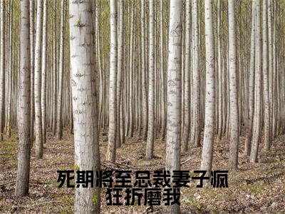 死期将至总裁妻子疯狂折磨我正版小说全文阅读盛明月无删减版