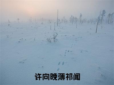 许向晚薄祁闻小说全文免费阅读无弹窗-许向晚薄祁闻全文在线阅读