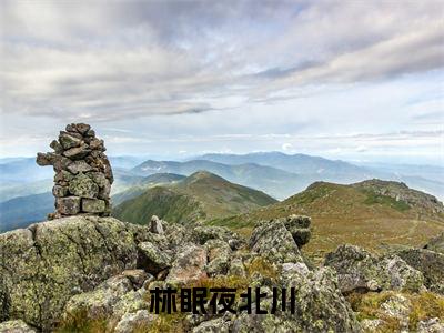 林眠夜北川（夜北川林眠）全文免费阅读无弹窗大结局_夜北川林眠免费最新章节列表_笔趣阁