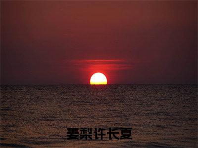 姜梨许长夏（姜梨许长夏）全文免费阅读无弹窗大结局_姜梨许长夏全文免费阅读_笔趣阁（姜梨许长夏）