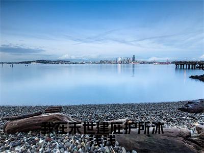 我在末世建庇护所沐浅浅《沐浅浅小说免费阅读》完整-我在末世建庇护所沐浅浅小说（沐浅浅）全文最新阅读