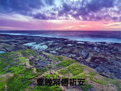 夏晚棠傅祈安全文免费阅读无弹窗大结局-夏晚棠傅祈安傅祈安夏晚棠全文全章节免费阅读