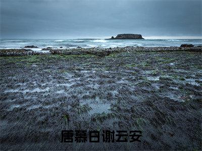 唐慕白谢云安（谢云安唐慕白）在线阅读-唐慕白谢云安小说谢云安唐慕白完整版免费阅读