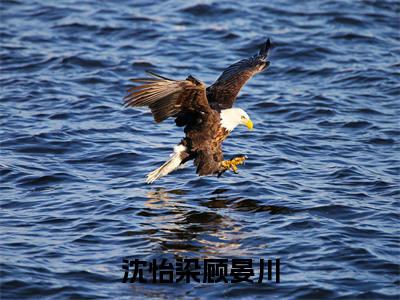 沈怡染顾晏川全文免费阅读无弹窗大结局_（沈怡染顾晏川小说）沈怡染顾晏川在线免费阅读