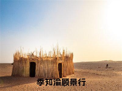 顾景行季知渝抖音完结版阅读《季知渝顾景行》最新章节目录好书推荐_（顾景行季知渝）