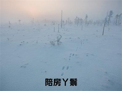 戚云湘陆钧山（陪房丫鬟全文免费阅读）_戚云湘陆钧山小说最新章节免费阅读