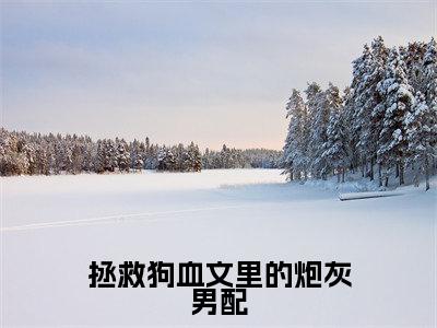 拯救狗血文里的炮灰男配（姜喜小说）全文免费阅读无弹窗大结局-姜喜小说最新章节列表_笔趣阁