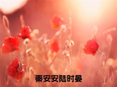 秦安安陆时晏（陆时晏秦安安）笔趣阁免费小说_秦安安陆时晏笔趣阁最新章节陆时晏秦安安免费在线阅读大结局