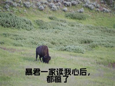 萧嘉云（暴君一家读我心后，都疯了）全文免费阅读无弹窗大结局_（萧嘉云）暴君一家读我心后，都疯了最新章节列表